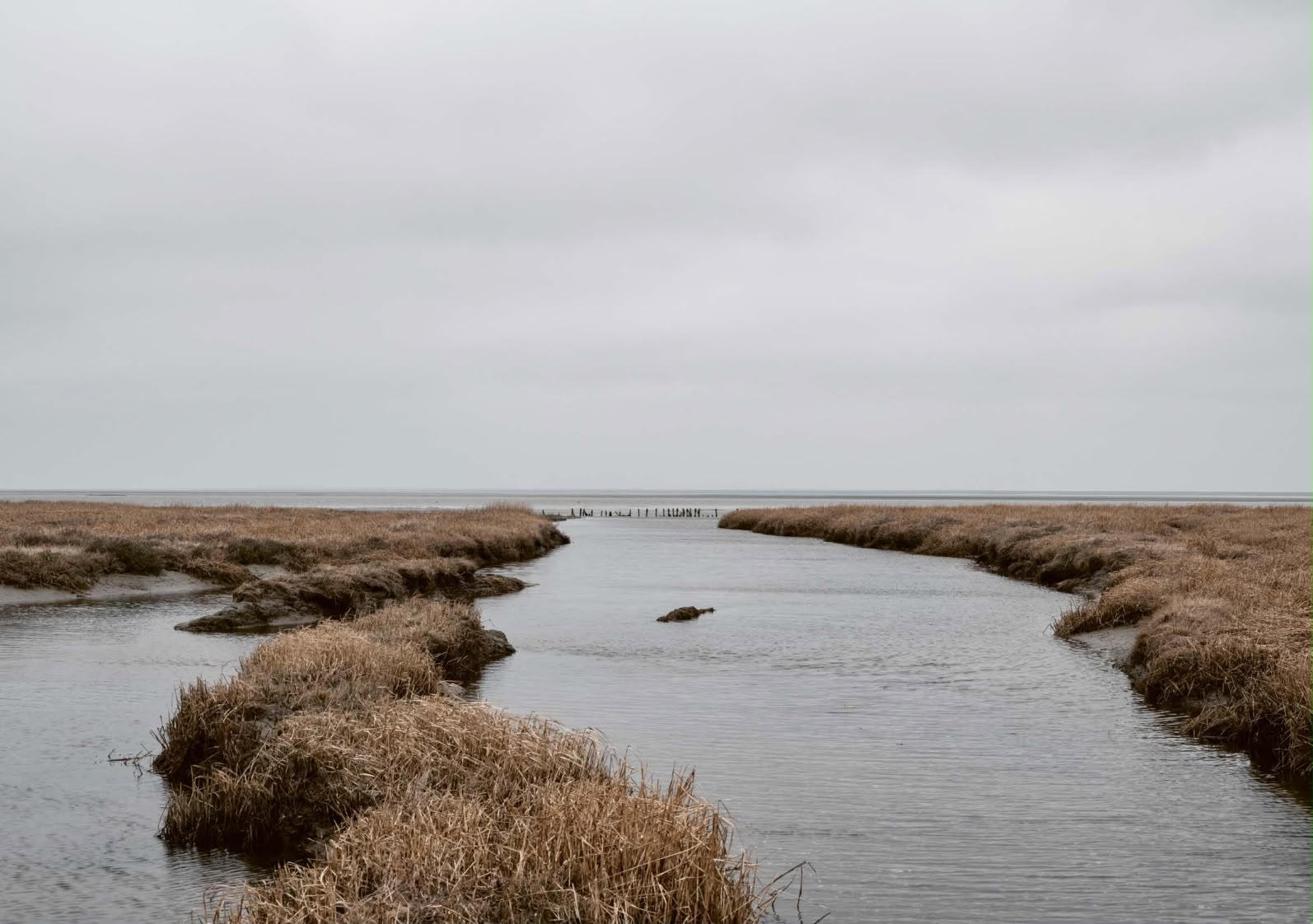 Ruhige Wasserlandschaft